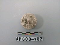 藏品(螺類)的圖片